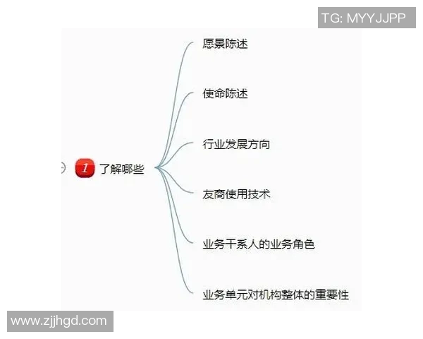 杭州羽毛球队在杯赛中的团队协作表现分析与启示