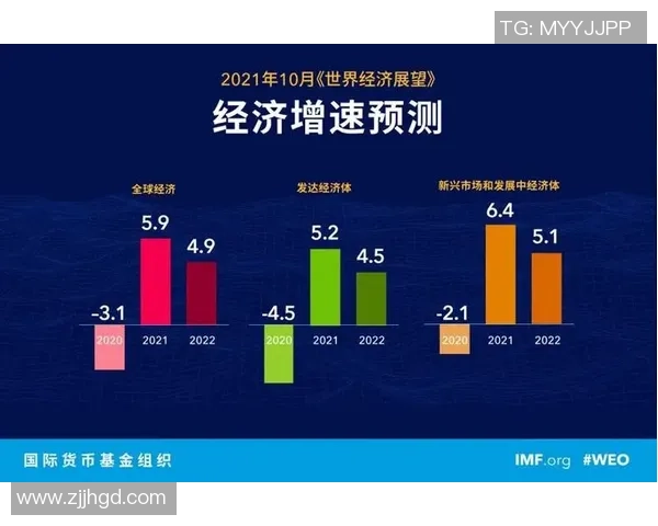 深圳排球队在大师赛中的强势表现与未来展望分析